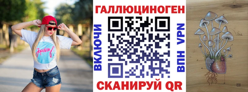 Галлюциногенные грибы Psilocybe  где продают наркотики  Нерехта 